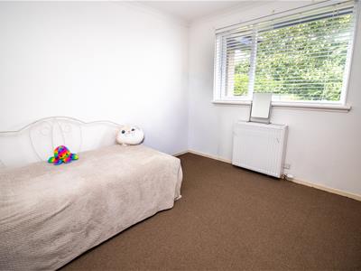 Picture 28
